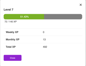 XP Level System