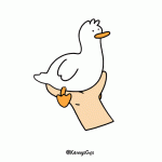 How To Hold A Duck.gif