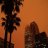Spectators